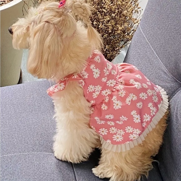 Daisy Graphic Pet Dress with Breathable Loungewear for Dogs and Cats - Picture 9 of 10